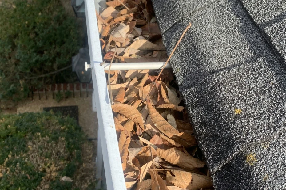 Gutter Cleaning Miami Shores FL