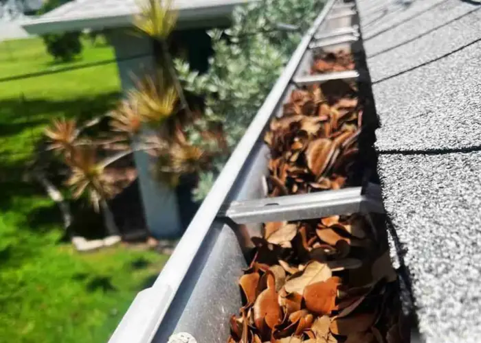 Gutter Cleaning Miami Shores FL home page